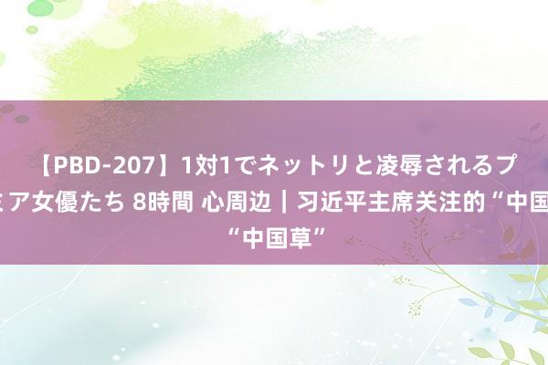 【PBD-207】1対1でネットリと凌辱されるプレミア女優たち 8時間 心周边｜习近平主席关注的“中国草”