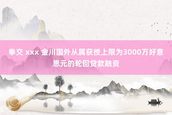 拳交 xxx 金川国外从属获授上限为3000万好意思元的轮回贷款融资