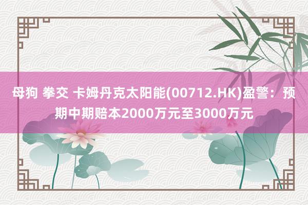 母狗 拳交 卡姆丹克太阳能(00712.HK)盈警：预期中期赔本2000万元至3000万元