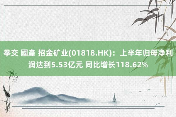 拳交 國產 招金矿业(01818.HK)：上半年归母净利润达到5.53亿元 同比增长118.62%