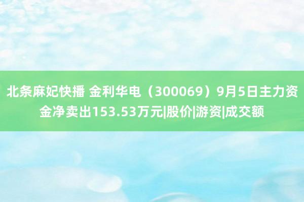 北条麻妃快播 金利华电（300069）9月5日主力资金净卖出153.53万元|股价|游资|成交额