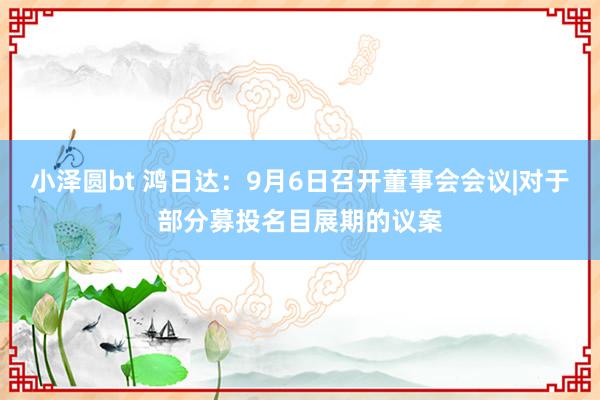 小泽圆bt 鸿日达：9月6日召开董事会会议|对于部分募投名目展期的议案