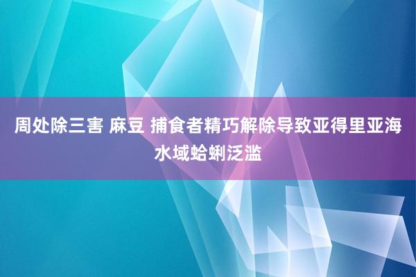 周处除三害 麻豆 捕食者精巧解除导致亚得里亚海水域蛤蜊泛滥