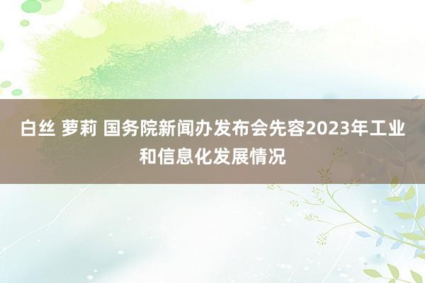 白丝 萝莉 国务院新闻办发布会先容2023年工业和信息化发展情况